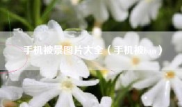 手机被景图片大全（手机被ban）