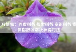 万博易：百度指数,搜索指数,资讯指数,媒体指数区别及获得方法