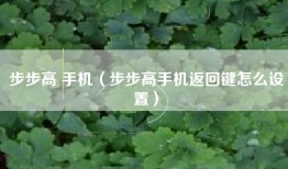 步步高 手机（步步高手机返回键怎么设置）