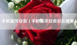 手机蓝牙安装（手机蓝牙安装包在哪里）