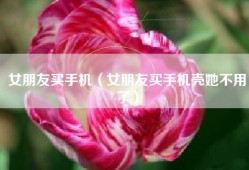 女朋友买手机（女朋友买手机壳她不用了）