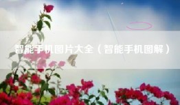 智能手机图片大全（智能手机图解）