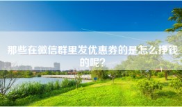 那些在微信群里发优惠券的是怎么挣钱的呢？