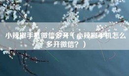 小辣椒手机微信多开（小辣椒手机怎么多开微信？）