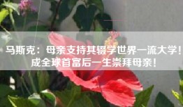 马斯克：母亲支持其辍学世界一流大学！成全球首富后一生崇拜母亲！
