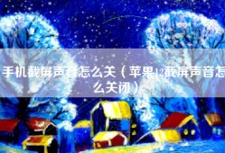 手机截屏声音怎么关（苹果12截屏声音怎么关闭）