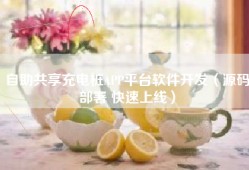 自助共享充电桩APP平台软件开发（源码部署 快速上线）
