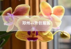 郑州seo外包服务