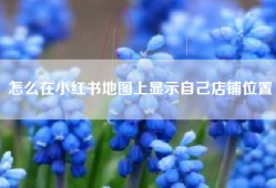 怎么在小红书地图上显示自己店铺位置