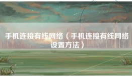 手机连接有线网络（手机连接有线网络设置方法）