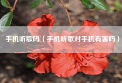 手机听歌吗（手机听歌对手机有害吗）