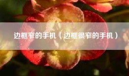边框窄的手机（边框很窄的手机）