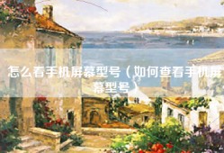 怎么看手机屏幕型号（如何查看手机屏幕型号）