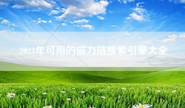 2024年可用的磁力链搜索引擎大全