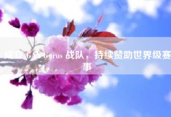 成立 GAN Gurus 战队，持续赞助世界级赛事