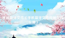 手机蓝牙文件（手机蓝牙文件传输文件在哪）