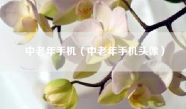 中老年手机（中老年手机头像）
