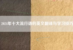 2024年十大流行语的英文翻译与学习技巧