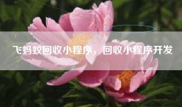 飞蚂蚁回收小程序，回收小程序开发