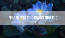 手机骗子软件（诈骗应用软件）