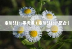 定制女仆2手机版（定制女仆2.5整合）