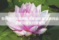 如何进行深圳网站关键词优化,深圳网站关键词优化的重要性