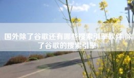 国外除了谷歌还有哪些搜索引擎软件(除了谷歌的搜索引擎)
