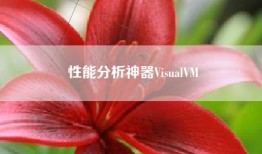 性能分析神器VisualVM