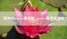 好用的tracker服务器_tracker服务器地址