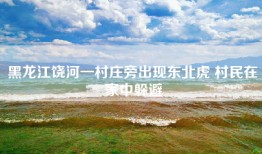黑龙江饶河一村庄旁出现东北虎 村民在家中躲避