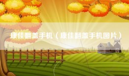 康佳翻盖手机（康佳翻盖手机图片）