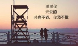 【黑色早评】钢银去库幅度加大，昨钢矿成交均有回升