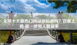 全球十大最热门网站你知道吗？百度上榜 第一使用人数最多