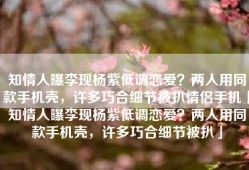 知情人曝李现杨紫低调恋爱？两人用同款手机壳，许多巧合细节被扒情侣手机「知情人曝李现杨紫低调恋爱？两人用同款手机壳，许多巧合细节被扒」