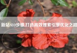 新站SEO步骤,打造高效搜索引擎优化之路