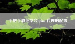 手把手教你学会nginx 代理的配置