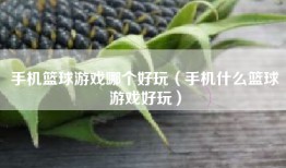 手机篮球游戏哪个好玩（手机什么篮球游戏好玩）