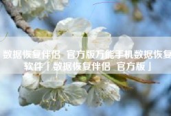 数据恢复伴侣  官方版万能手机数据恢复软件「数据恢复伴侣  官方版」