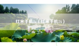 红米手机2a（红米手机2A）