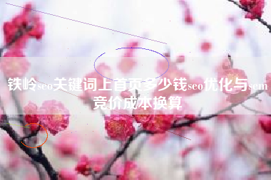 铁岭seo关键词上首页多少钱seo优化与sem竞价成本换算