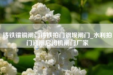 铸铁镶铜闸门铸铁拍门钢坝闸门_水利拍门涵闸启闭机闸门厂家
