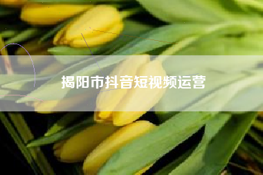 揭阳市抖音短视频运营