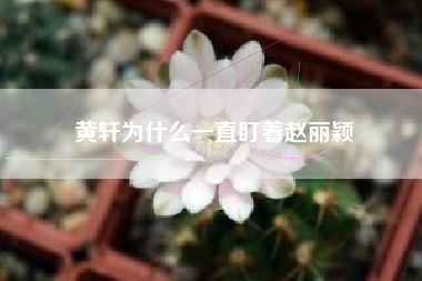 黄轩为什么一直盯着赵丽颖