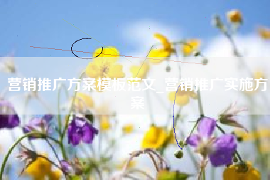 营销推广方案模板范文_营销推广实施方案