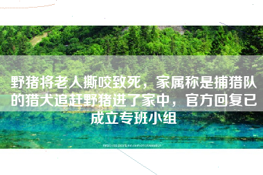 野猪将老人撕咬致死，家属称是捕猎队的猎犬追赶野猪进了家中，官方回复已成立专班小组