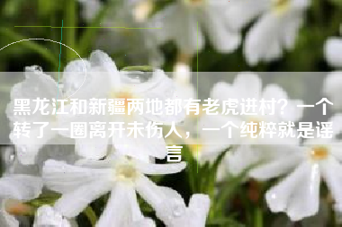 黑龙江和新疆两地都有老虎进村？一个转了一圈离开未伤人，一个纯粹就是谣言