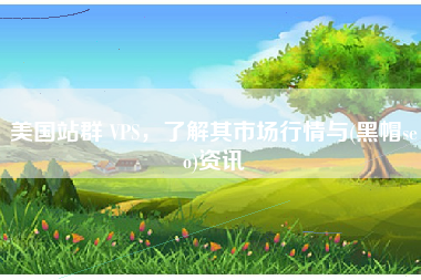 美国站群 VPS，了解其市场行情与(黑帽seo)资讯