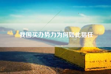 我国买办势力为何如此猖狂