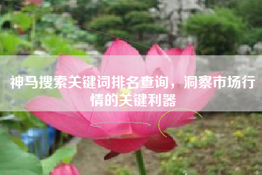 神马搜索关键词排名查询，洞察市场行情的关键利器