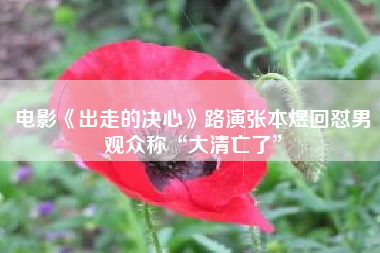 电影《出走的决心》路演张本煜回怼男观众称“大清亡了”